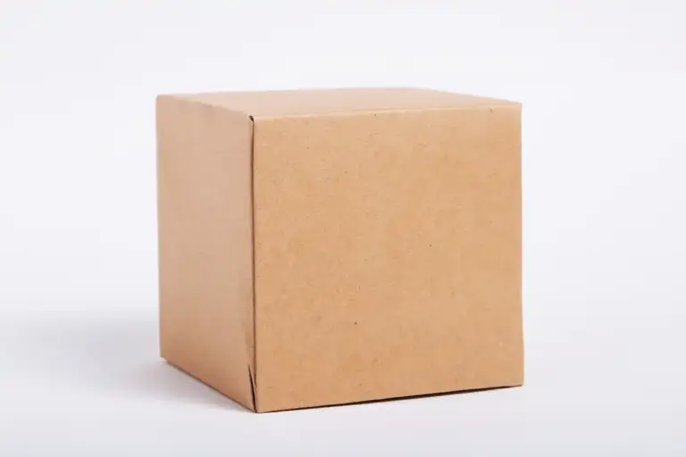 The Concept of Minimum Viable Products (MVPs)