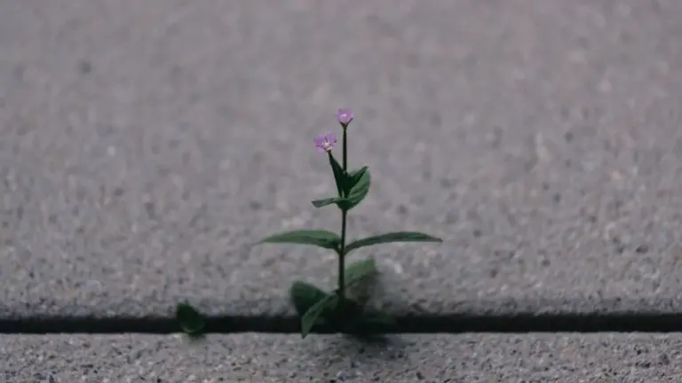 The Growth Trap: Bigger Isn’t Always Better
