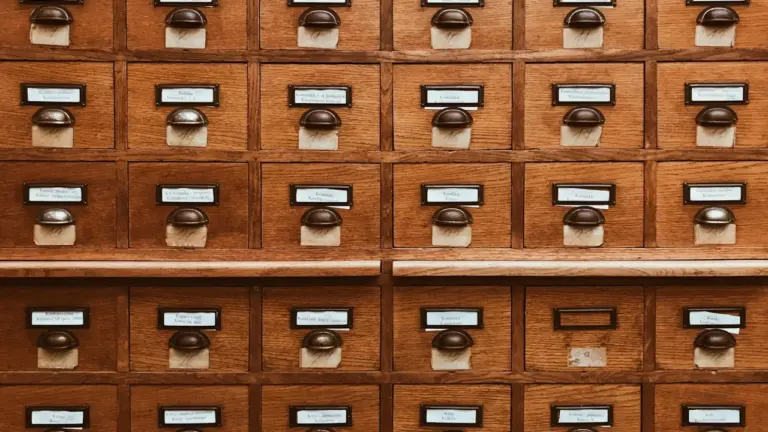 Why Every Growing Business Needs a Source of Truth
