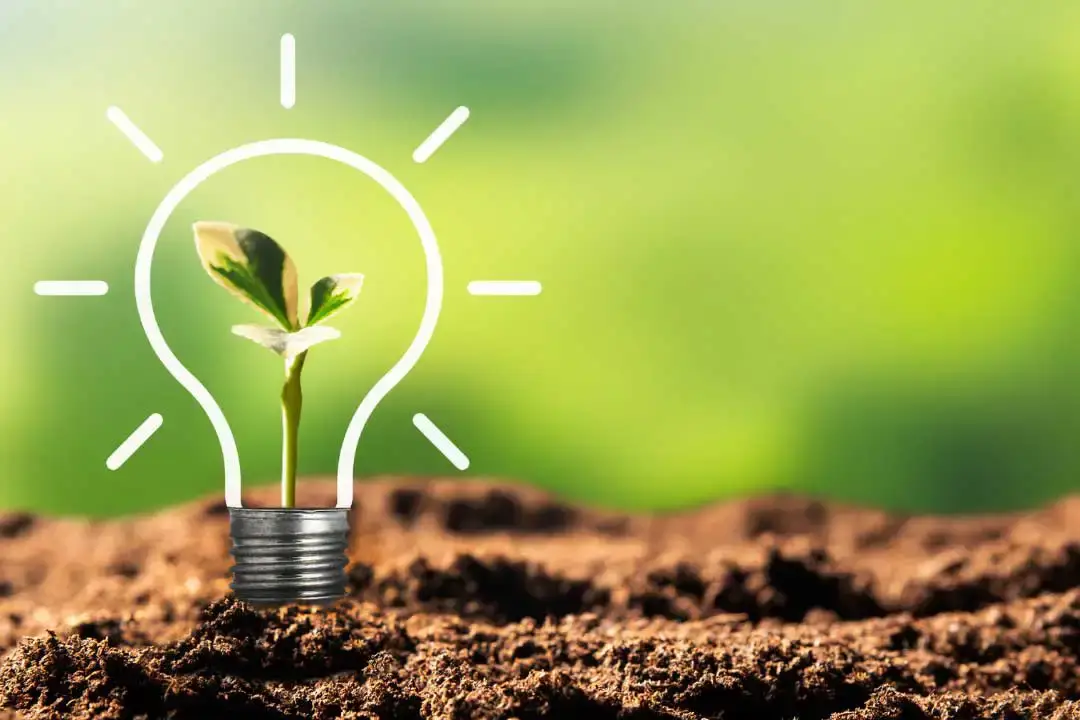 Greenwashing Rules UK SMEs Must Know